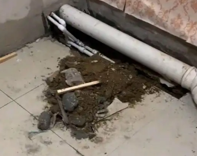 兴业卫生间漏水检测哪家好