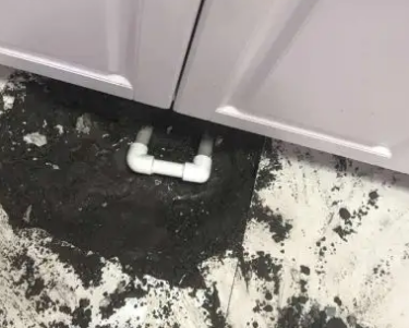 兴业查漏水哪家好