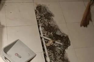 兴业卫生间漏水检测电话